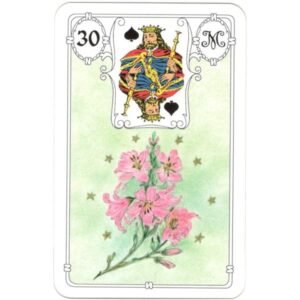 Mlle Lenormand - White Owl - Imagem 7