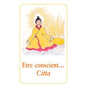 Les Cartes Buddha - Imagem 6
