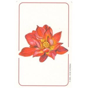 Les Cartes Buddha - Imagem 10