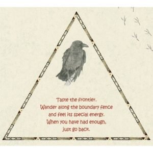 Raven Cards Oracle - Imagem 5