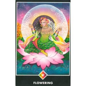Osho Zen Tarot - Manual Japonês - Imagem 5