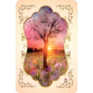 Mulheres do Vento - Imagem 2