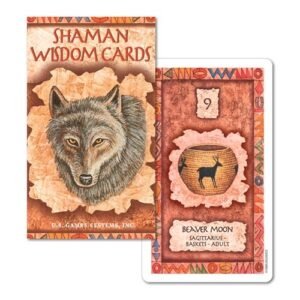 Shaman Wisdom Cards