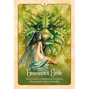 Wild Wisdom of the Faery Oracle - Imagem 10