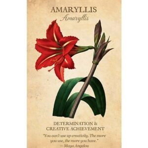 Botanical Inspirations - Imagem 4