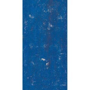 Cary-Yale Visconti 15th Century Tarocchi Deck - Imagem 9