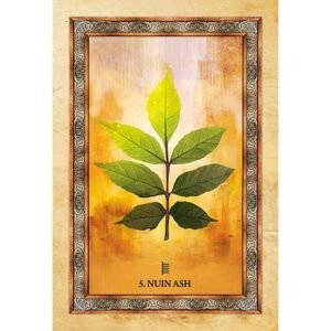 Celtic Tree Oracle - Imagem 3