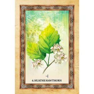 Celtic Tree Oracle - Imagem 5