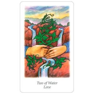 Vision Quest Tarot - Imagem 6