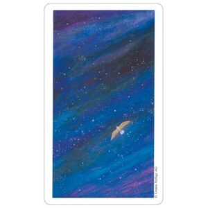 Vision Quest Tarot - Imagem 9