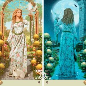 ViceVersa Tarot - Kit Edition - Imagem 3