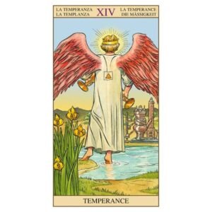 Tarot of the New Vision - Kit Edition - Imagem 5