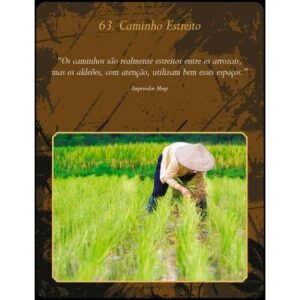 Oráculo do Reiki (Livro + Cartas) - Imagem 4