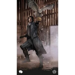 Tarot of the Haunted House - Imagem 3