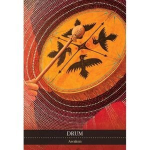 Shamanic Medicine Oracle Cards - Imagem 4