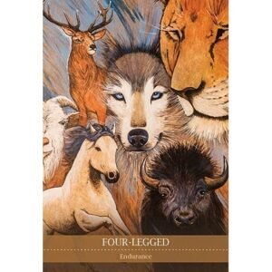 Shamanic Medicine Oracle Cards - Imagem 3