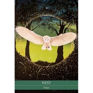 Shamanic Medicine Oracle Cards - Imagem 7